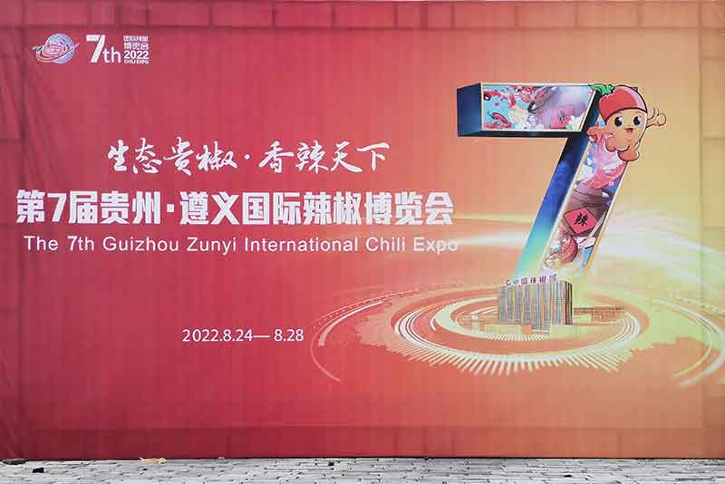 色选机|食品色选机|再生资源色选机|矿石色选机|履带色选机