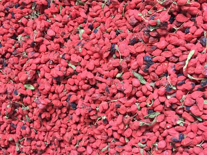 色选机|食品色选机|再生资源色选机|矿石色选机|履带色选机