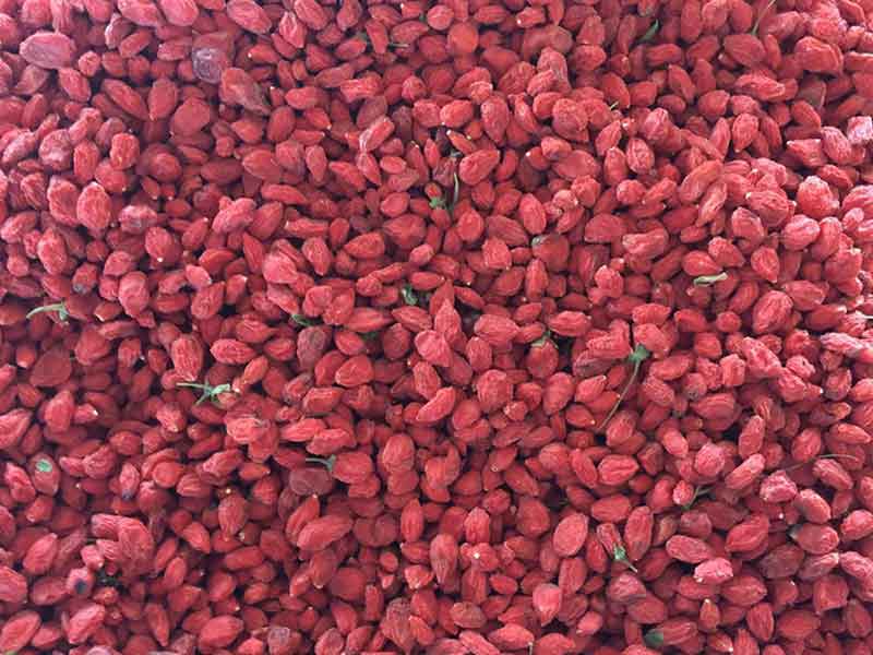 色选机|食品色选机|再生资源色选机|矿石色选机|履带色选机