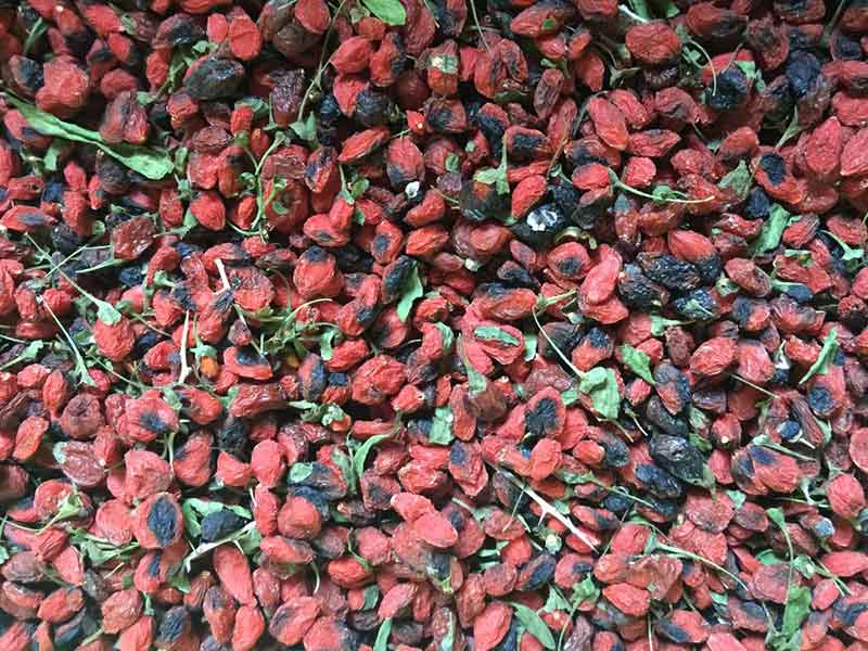 色选机|食品色选机|再生资源色选机|矿石色选机|履带色选机