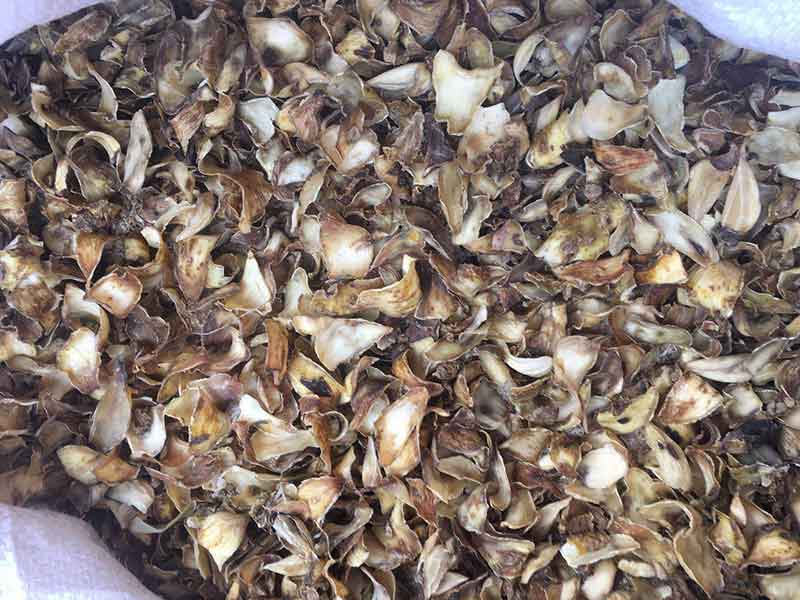 色选机|食品色选机|再生资源色选机|矿石色选机|履带色选机