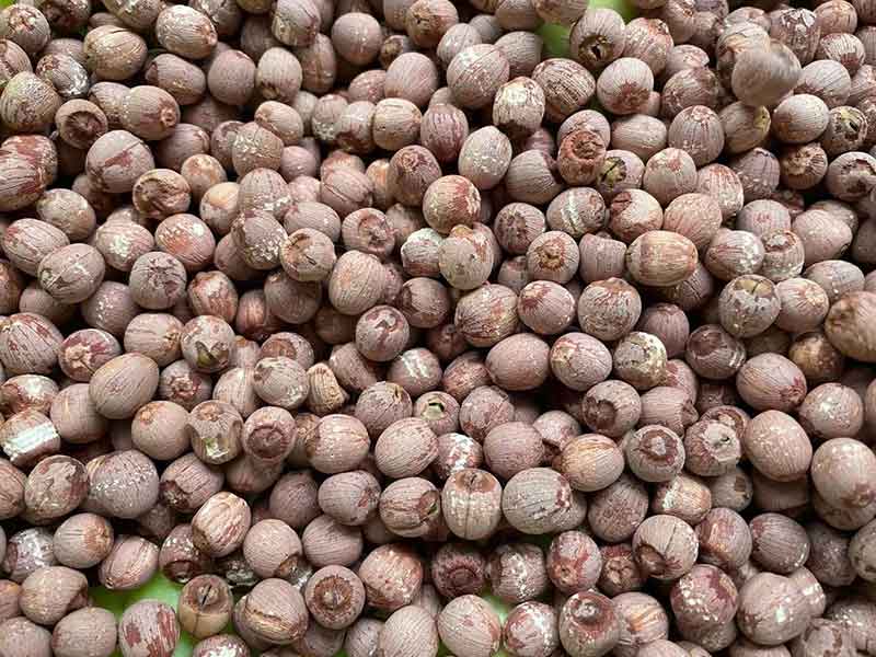 色选机|食品色选机|再生资源色选机|矿石色选机|履带色选机