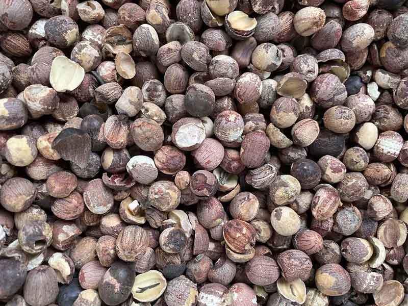 色选机|食品色选机|再生资源色选机|矿石色选机|履带色选机