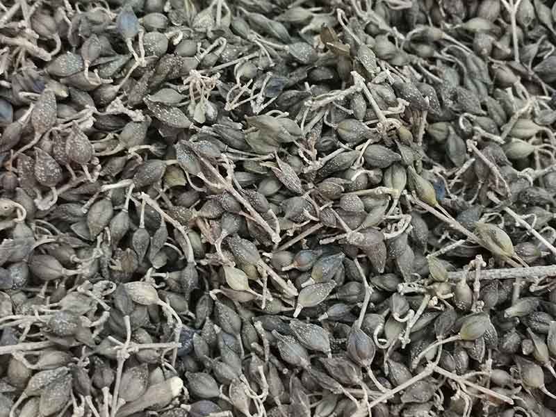 色选机|食品色选机|再生资源色选机|矿石色选机|履带色选机