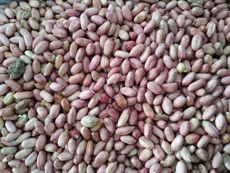 色选机|食品色选机|再生资源色选机|矿石色选机|履带色选机