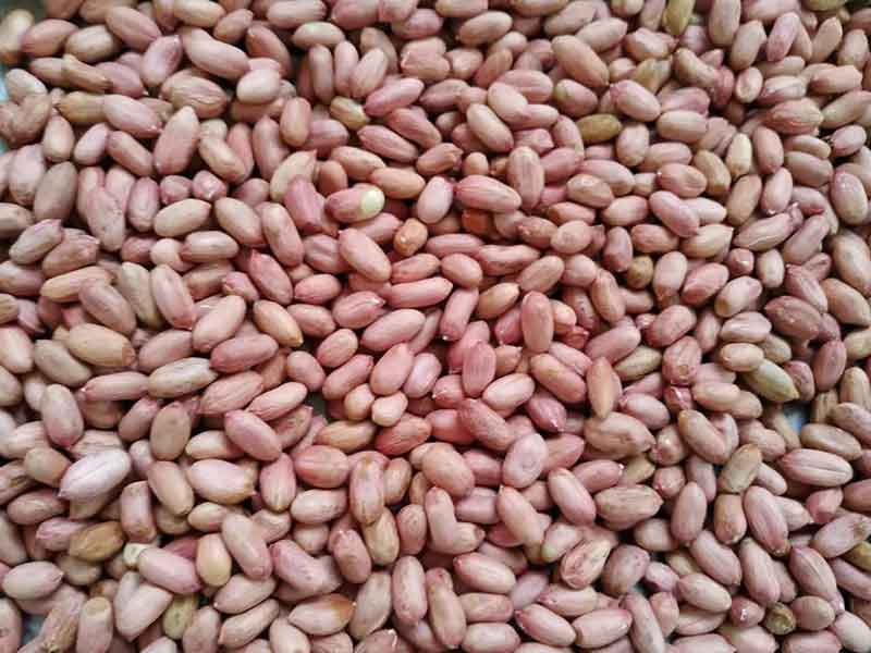 色选机|食品色选机|再生资源色选机|矿石色选机|履带色选机