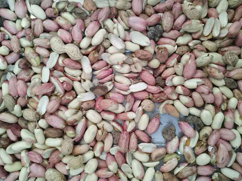 色选机|食品色选机|再生资源色选机|矿石色选机|履带色选机