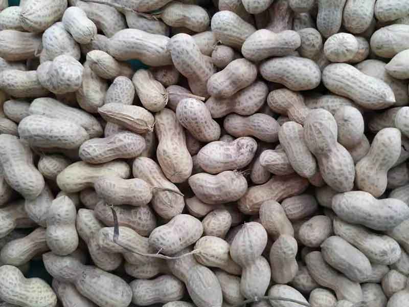 色选机|食品色选机|再生资源色选机|矿石色选机|履带色选机