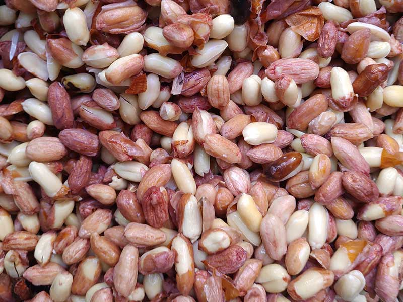 色选机|食品色选机|再生资源色选机|矿石色选机|履带色选机