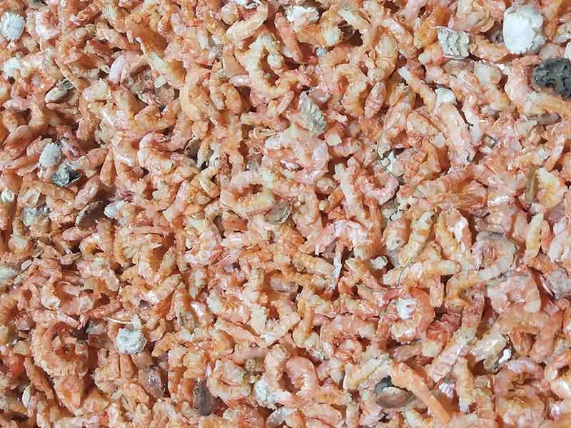 色选机|食品色选机|再生资源色选机|矿石色选机|履带色选机