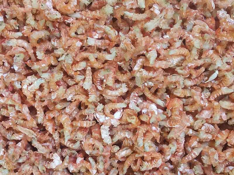 色选机|食品色选机|再生资源色选机|矿石色选机|履带色选机