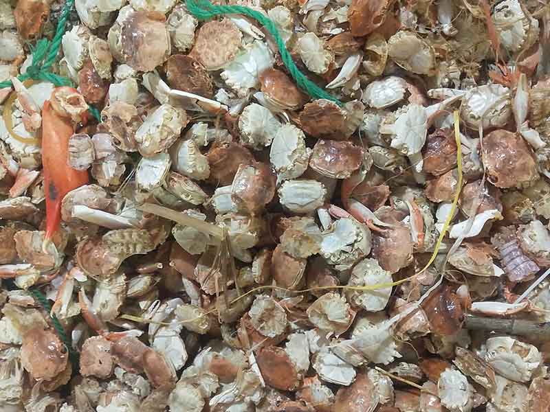 色选机|食品色选机|再生资源色选机|矿石色选机|履带色选机