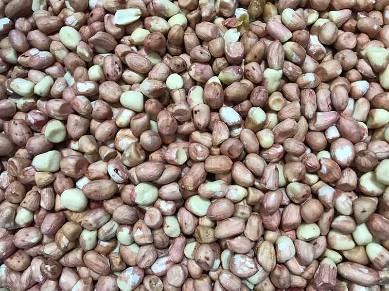 色选机|食品色选机|再生资源色选机|矿石色选机|履带色选机