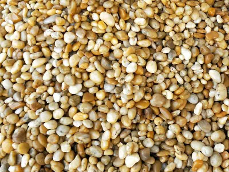 色选机|食品色选机|再生资源色选机|矿石色选机|履带色选机