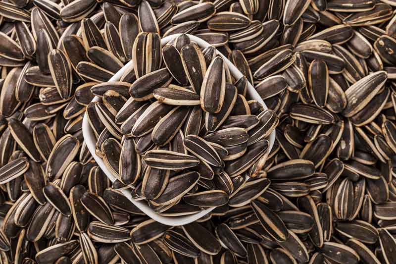 色选机|食品色选机|再生资源色选机|矿石色选机|履带色选机