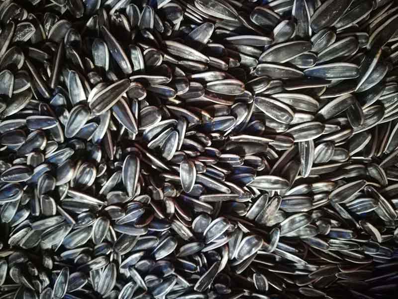 色选机|食品色选机|再生资源色选机|矿石色选机|履带色选机