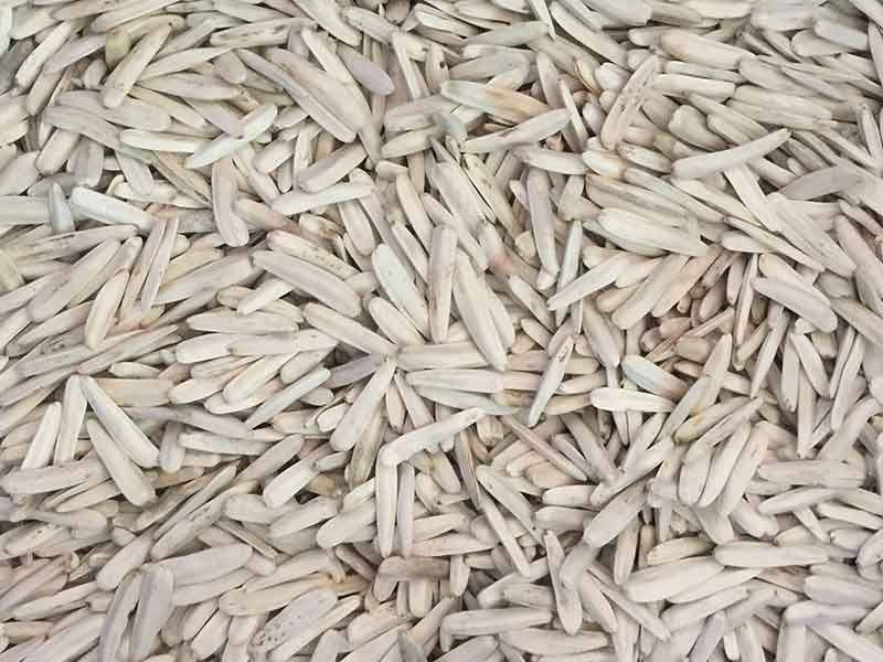 色选机|食品色选机|再生资源色选机|矿石色选机|履带色选机