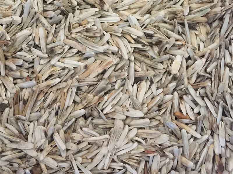 色选机|食品色选机|再生资源色选机|矿石色选机|履带色选机