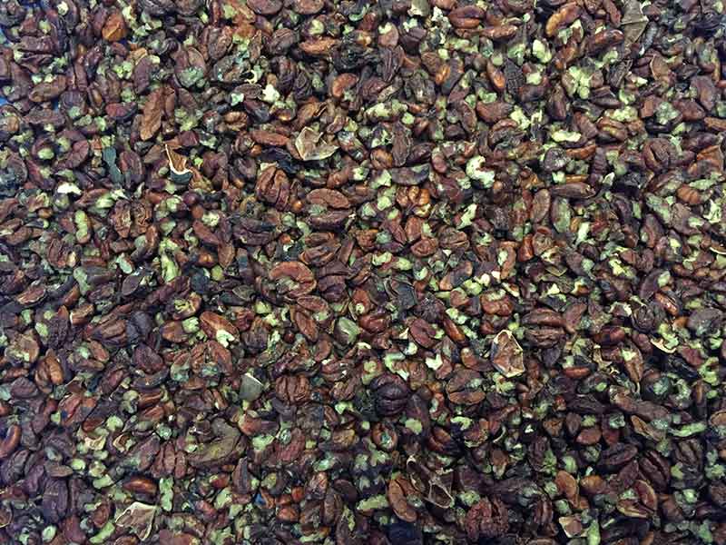 色选机|食品色选机|再生资源色选机|矿石色选机|履带色选机