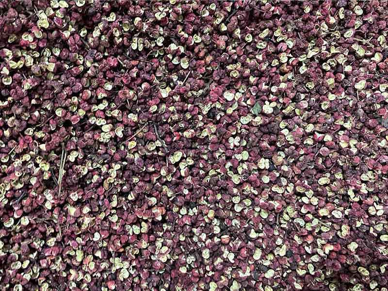 色选机|食品色选机|再生资源色选机|矿石色选机|履带色选机