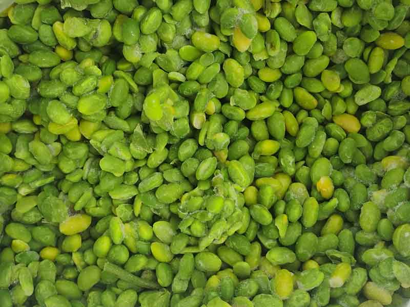 色选机|食品色选机|再生资源色选机|矿石色选机|履带色选机