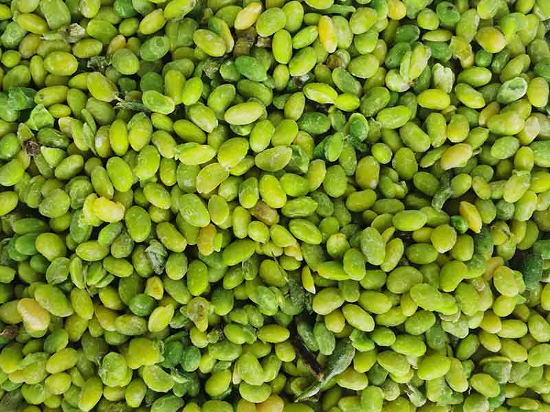 色选机|食品色选机|再生资源色选机|矿石色选机|履带色选机