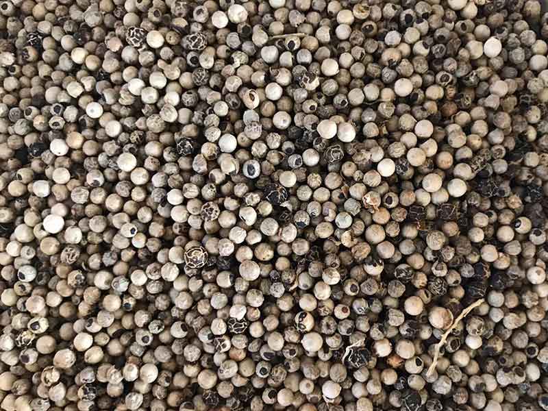 色选机|食品色选机|再生资源色选机|矿石色选机|履带色选机