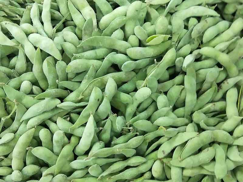 色选机|食品色选机|再生资源色选机|矿石色选机|履带色选机