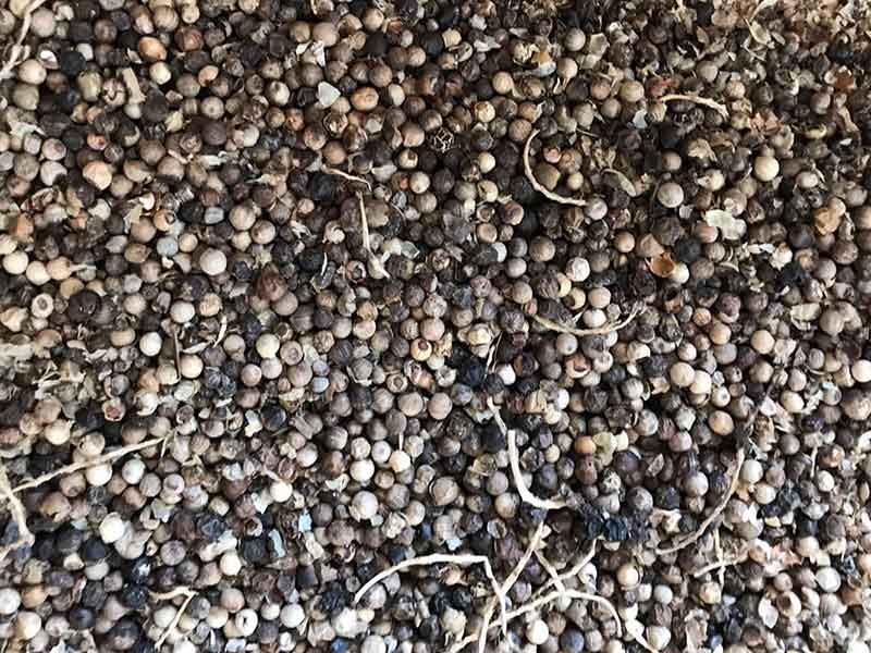 色选机|食品色选机|再生资源色选机|矿石色选机|履带色选机