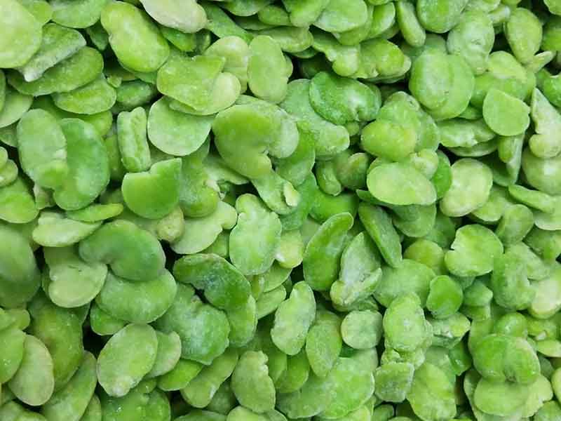 色选机|食品色选机|再生资源色选机|矿石色选机|履带色选机