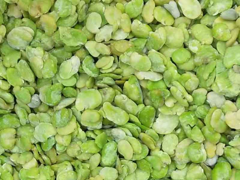 色选机|食品色选机|再生资源色选机|矿石色选机|履带色选机