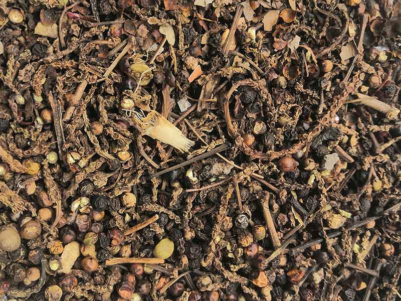 色选机|食品色选机|再生资源色选机|矿石色选机|履带色选机