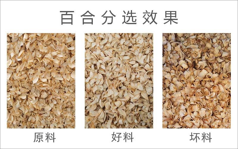 色选机|食品色选机|再生资源色选机|矿石色选机|履带色选机