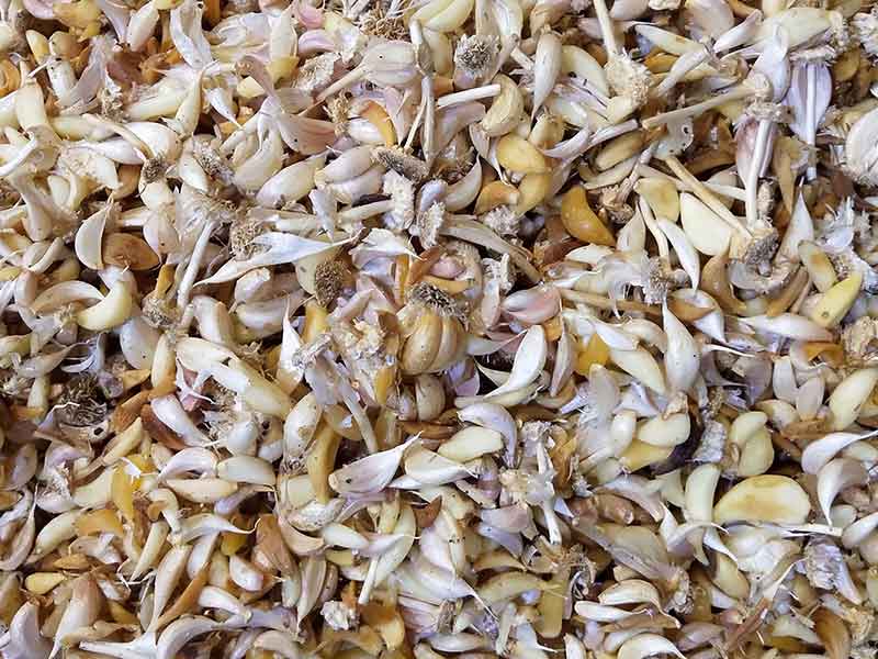 色选机|食品色选机|再生资源色选机|矿石色选机|履带色选机