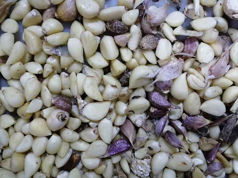 色选机|食品色选机|再生资源色选机|矿石色选机|履带色选机