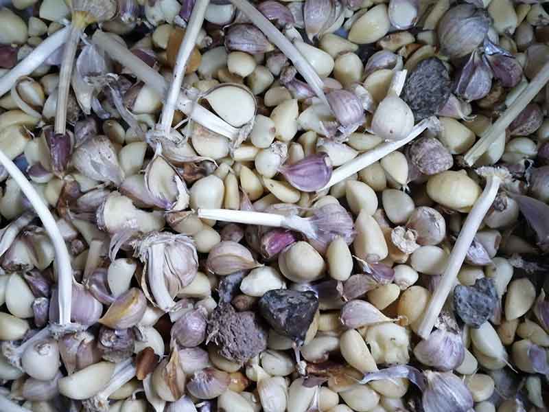 色选机|食品色选机|再生资源色选机|矿石色选机|履带色选机