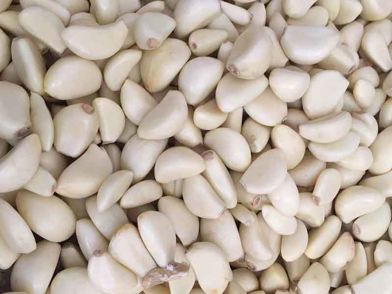 色选机|食品色选机|再生资源色选机|矿石色选机|履带色选机