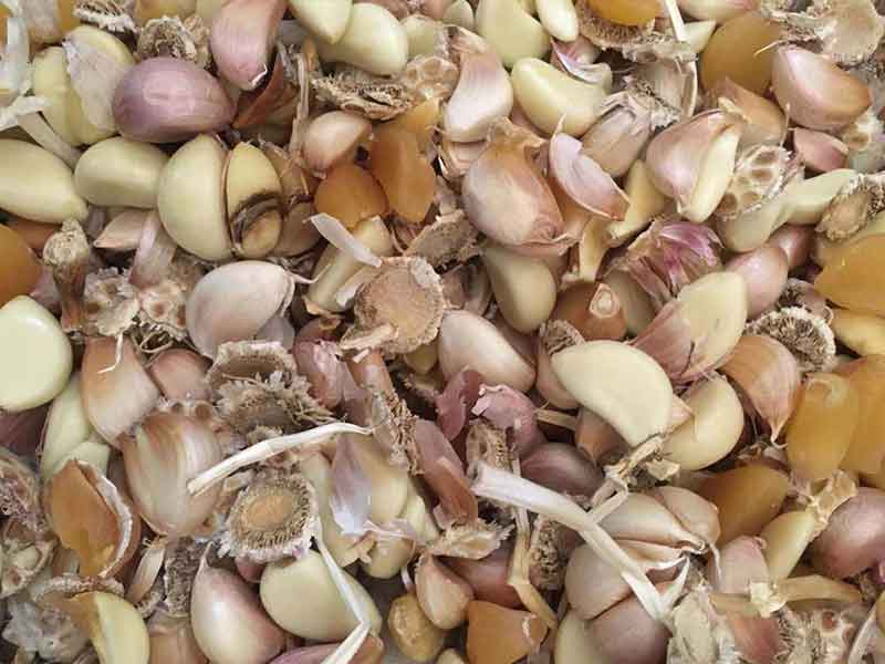 色选机|食品色选机|再生资源色选机|矿石色选机|履带色选机