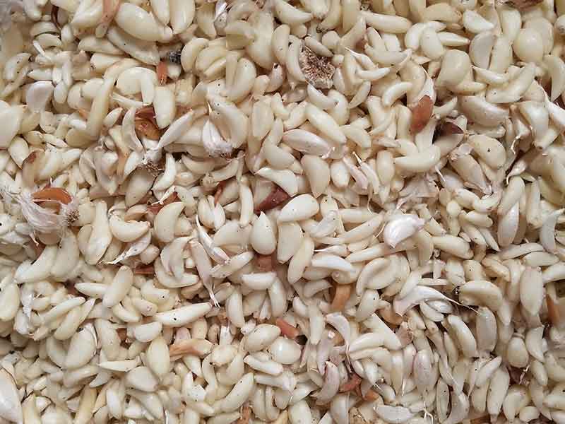 色选机|食品色选机|再生资源色选机|矿石色选机|履带色选机