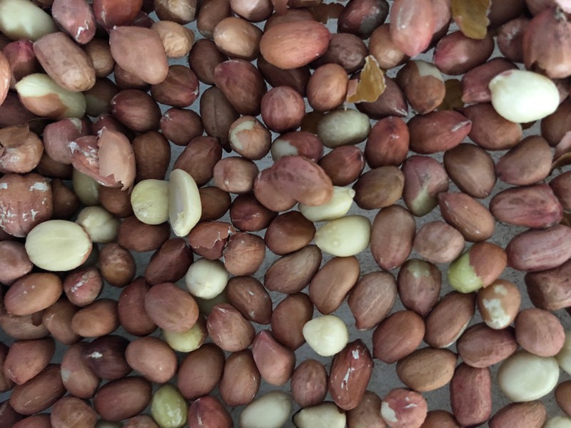 色选机|食品色选机|再生资源色选机|矿石色选机|履带色选机