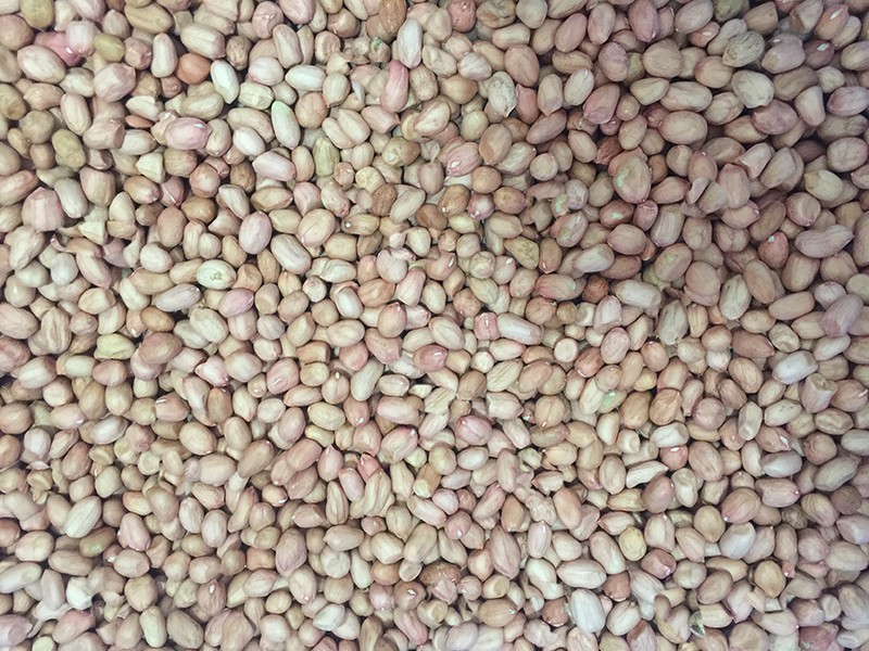 色选机|食品色选机|再生资源色选机|矿石色选机|履带色选机