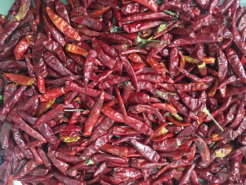 色选机|食品色选机|再生资源色选机|矿石色选机|履带色选机