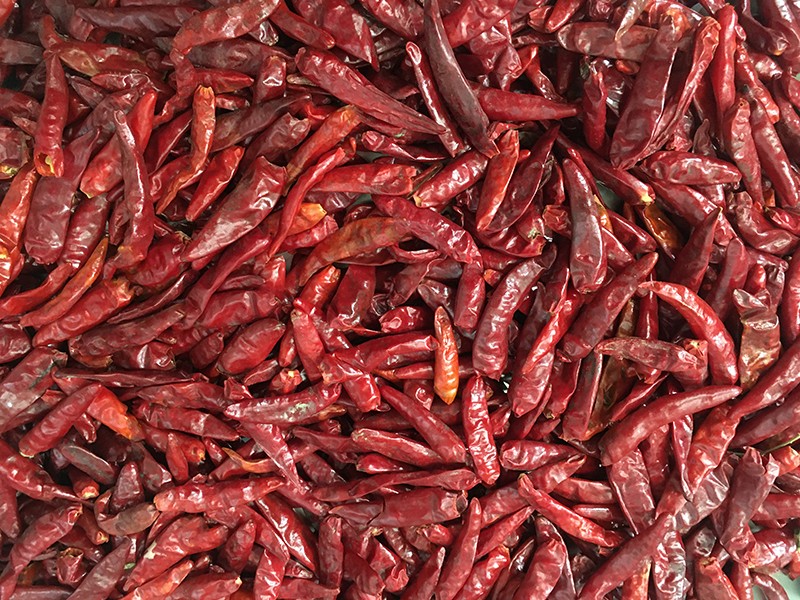 色选机|食品色选机|再生资源色选机|矿石色选机|履带色选机