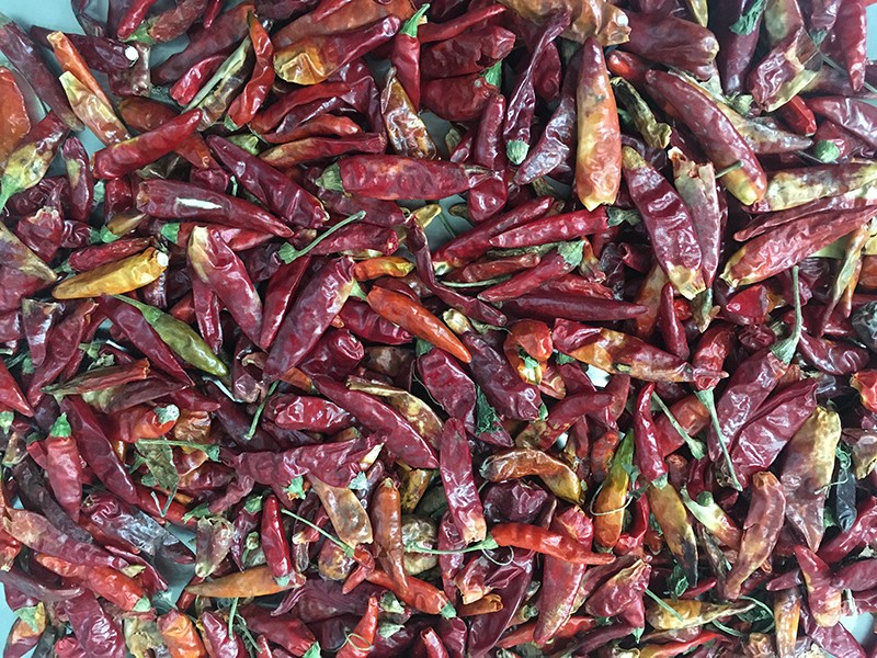 色选机|食品色选机|再生资源色选机|矿石色选机|履带色选机