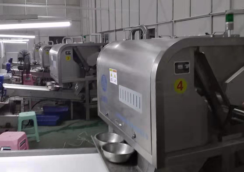 色选机|食品色选机|再生资源色选机|矿石色选机|履带色选机