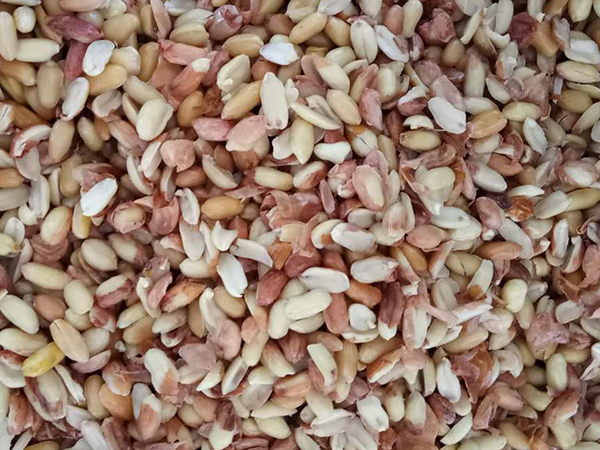 色选机|食品|再生料|矿石|履带色选机