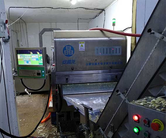 色选机|食品|再生料|矿石|履带色选机